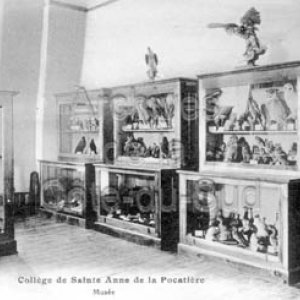 Coll&egrave;ge de Sainte-Anne de la Pocati&egrave;re.- Mus&eacute;e