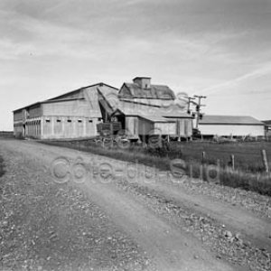 Le troisi&egrave;me &ldquo;moulin &agrave; tourbe&rdquo; de Tourbi&egrave;res Lambert &agrave; Rivi&egrave;re-Ouelle, construit en 1948