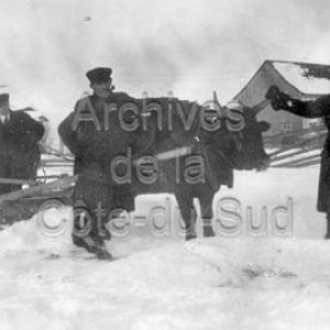 Alexis Gagnon, Joseph L&eacute;vesque, Ren&eacute; Tanguay et le boeuf pour l&rsquo;entretien de la grande glissoire du Coll&egrave;ge de Sainte-Anne &agrave; La Pocati&egrave;re