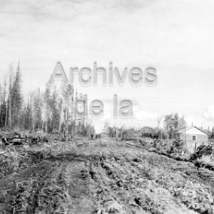 Chemin dans les rangs IV et V du canton de Roquemaure en Abitibi