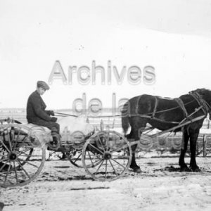 &Agrave; cheval... sur un carcasse de porc