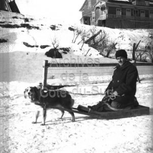 Homme tir&eacute; par un chien sur une tra&icirc;ne &agrave; neige