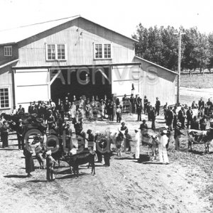 Concours des jeunes &eacute;leveurs &agrave; l&rsquo;&Eacute;cole d&rsquo;agriculture