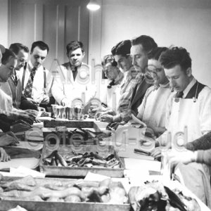 Cours sur la mise en conserve du poisson